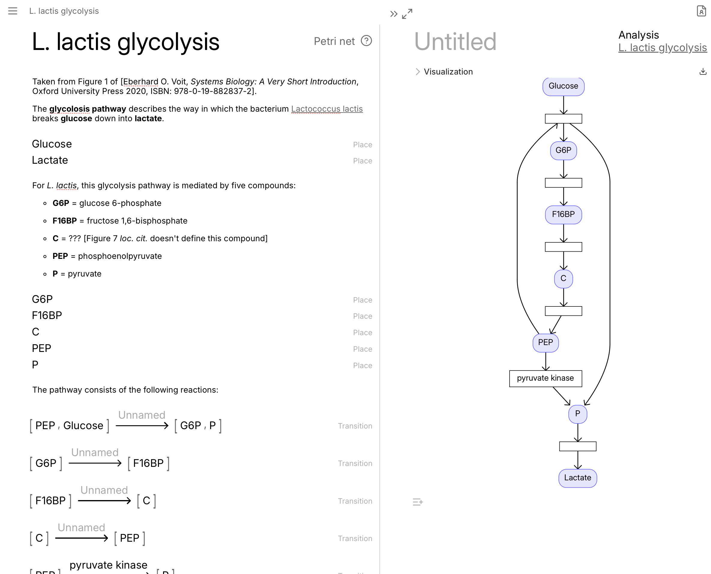 A Petri net modelling the (partial) glycolysis pathway of Lactococcus lactis, taken from E.O. Voit’s Systems Biology: A Very Short Introduction (Oxford University Press, 2020).